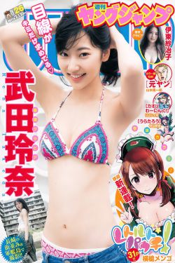 再见李可乐电视剧免费观看